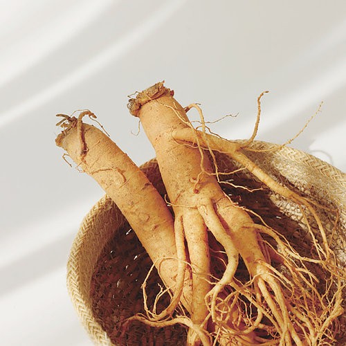 Ginseng Essence Water Ginseng Essence Water